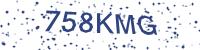 OX CaptCha
